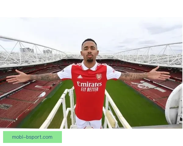 埃米尔·史密斯·罗以3180万欧元转会富勒姆正式加盟