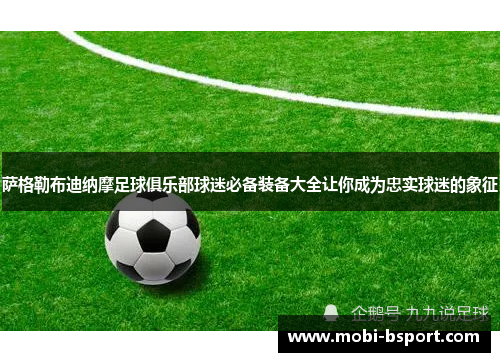 萨格勒布迪纳摩足球俱乐部球迷必备装备大全让你成为忠实球迷的象征