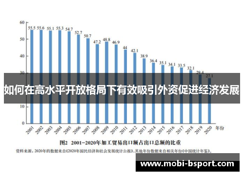 如何在高水平开放格局下有效吸引外资促进经济发展
