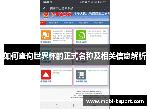 如何查询世界杯的正式名称及相关信息解析